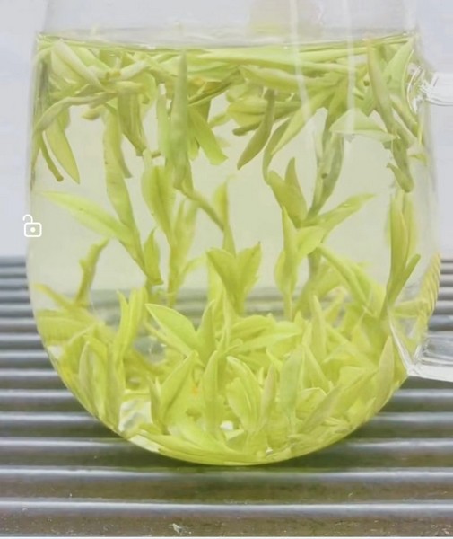 天目湖奶白茶-溧阳市金灿茶叶专业合作社1